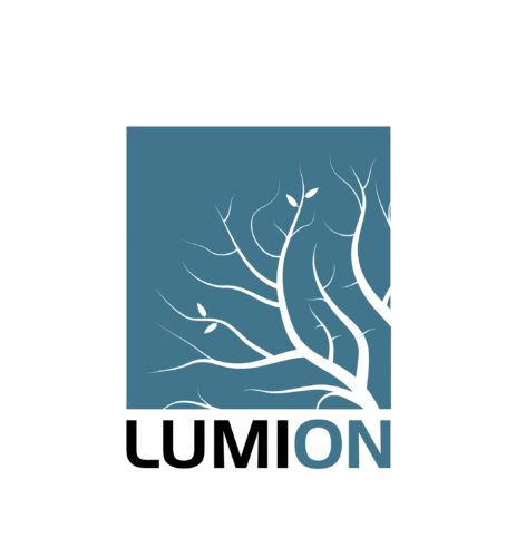 LUMION